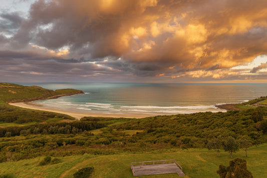 Killalea's Golden Embrace